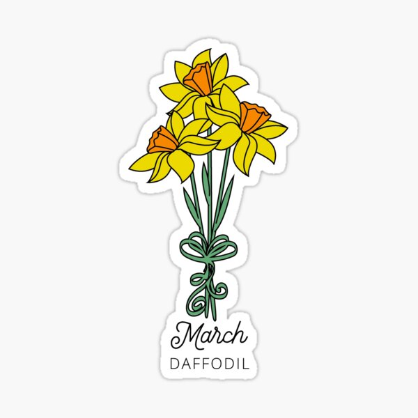 Birth Month Flower of March - The Daffodil