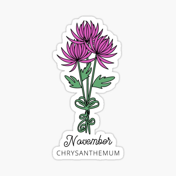 November Birth Month Flower (Chrysanthemum) Sticker