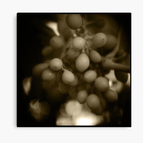 Item preview, At the bottom of the garden i: the grapes designed and sold by Roberts Birze.