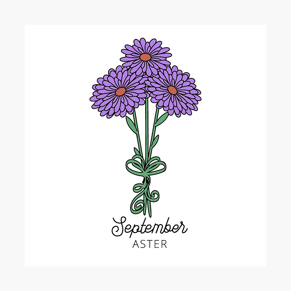 September - Aster | Half sleeve tattoo, Half sleeve tattoos drawings,  Flower tattoos