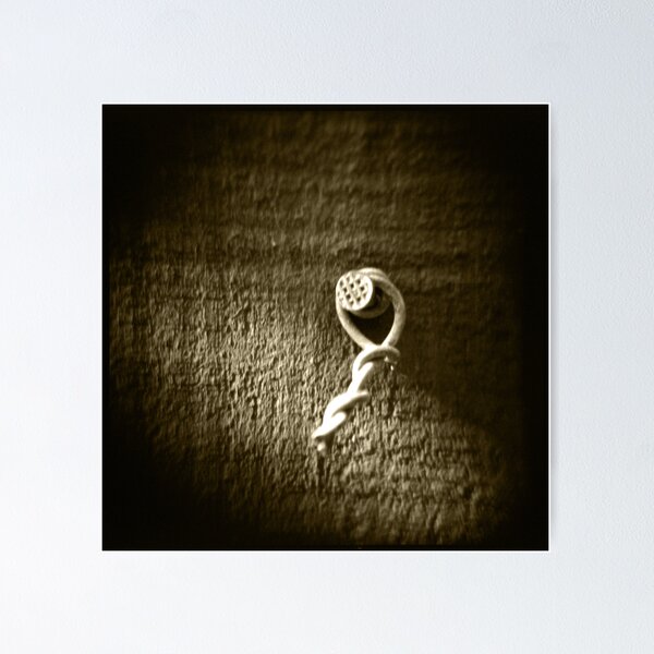 Item preview, At the bottom of the garden ii: the nail designed and sold by Roberts Birze.