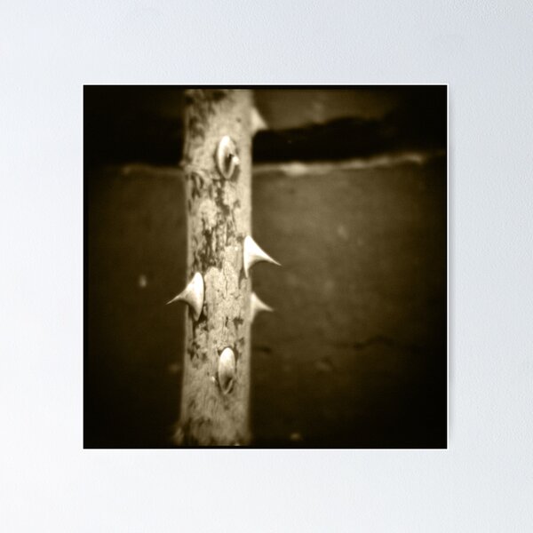 Item preview, At the bottom of the garden iii: the thorns designed and sold by Roberts Birze.