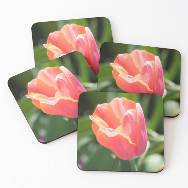 Item preview, Pink and Green designed and sold by Jacquelie.