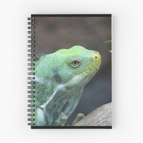 Item preview, Fijian Crested Iguana designed and sold by LeanneAllen.
