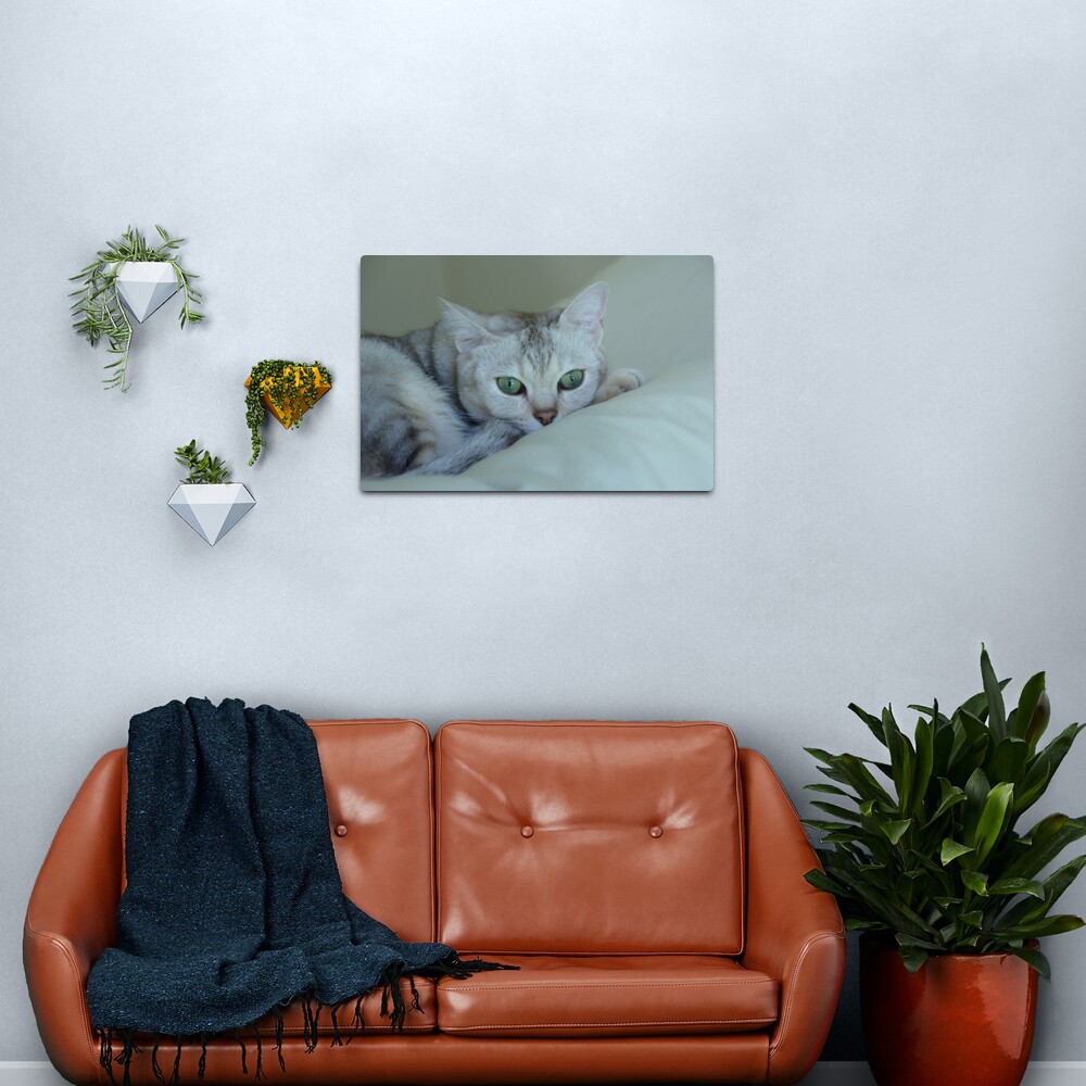 oliver ... Metal Print