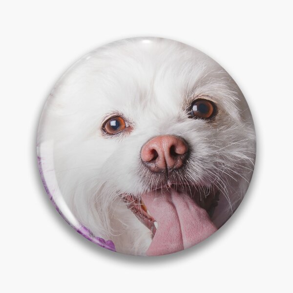 Item preview, White pup with flowers designed and sold by Spring Reilly.