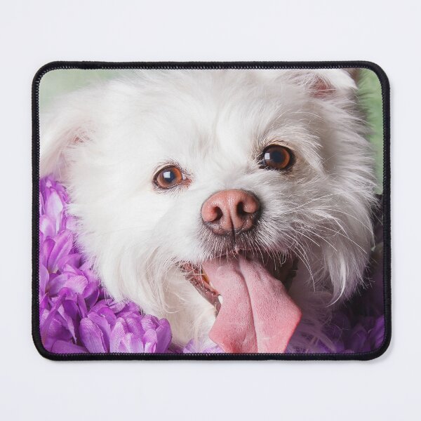 Item preview, White pup with flowers designed and sold by Spring Reilly.