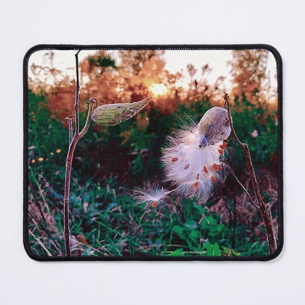 Item preview, Milkweed Bloom designed and sold by questadesigns.
