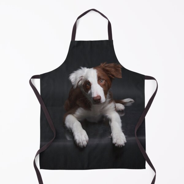 Artikelvorschau, Roter Border-Collie entworfen und verkauft von Spring Reilly.