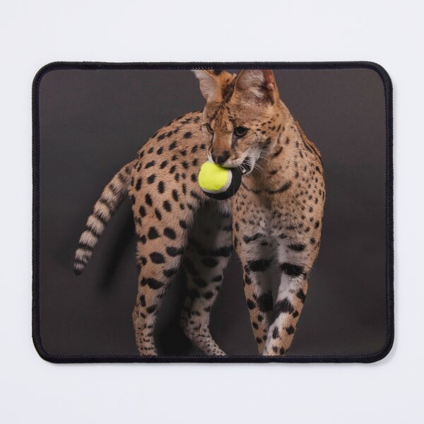 Item preview, African Serval with a ball designed and sold by Spring Reilly.