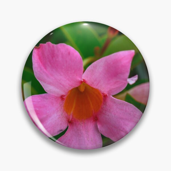 Artikelvorschau, Neue rosa Blüte entworfen und verkauft von JDPine.