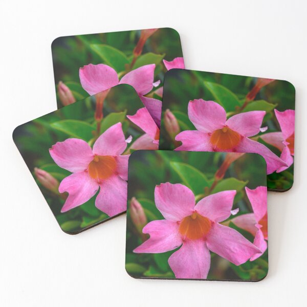 Item preview, New Pink Bloom designed and sold by JDPine.