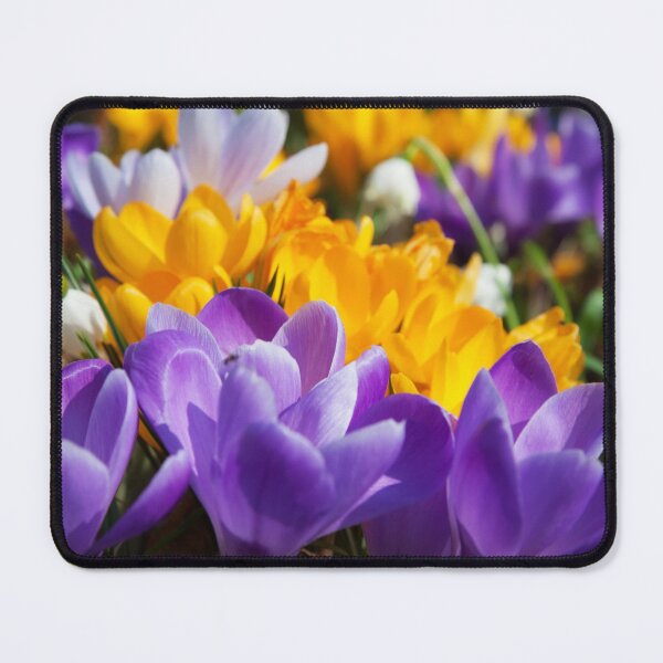 Item preview, ' Crocus, Trikala ' designed and sold by MARYMAXMAC.
