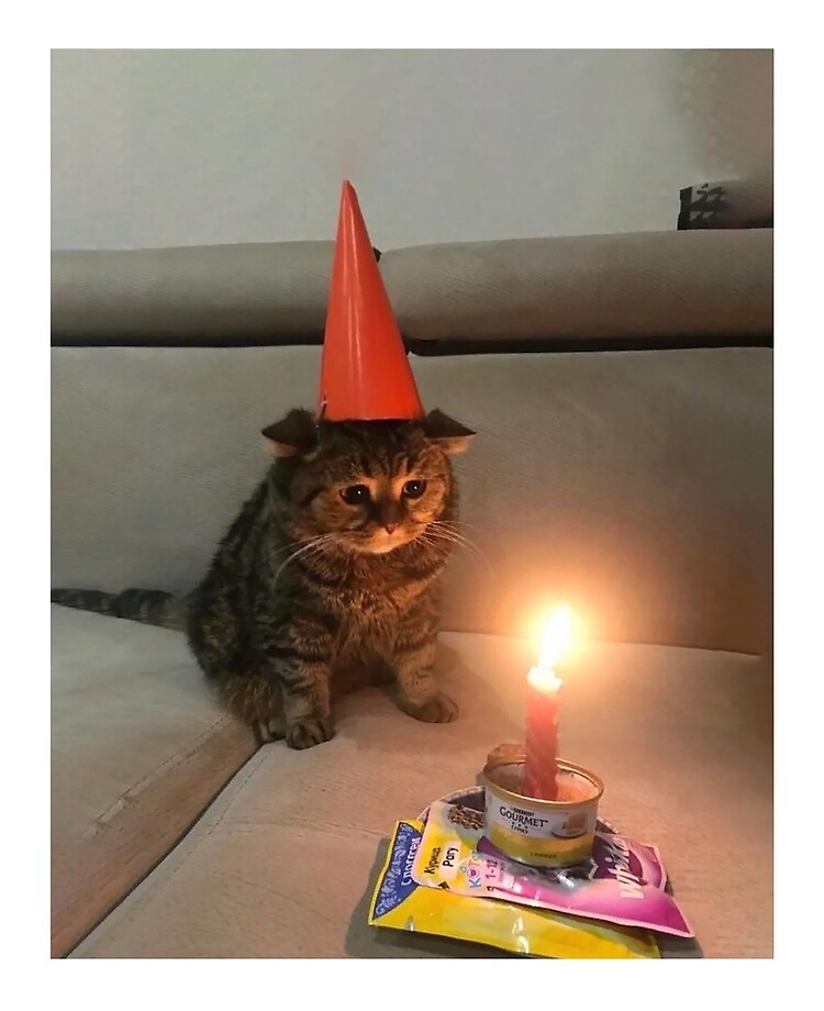 Premium Photo | Generative ai cat birthday cute pet small kitten and birthday  cake with a candle