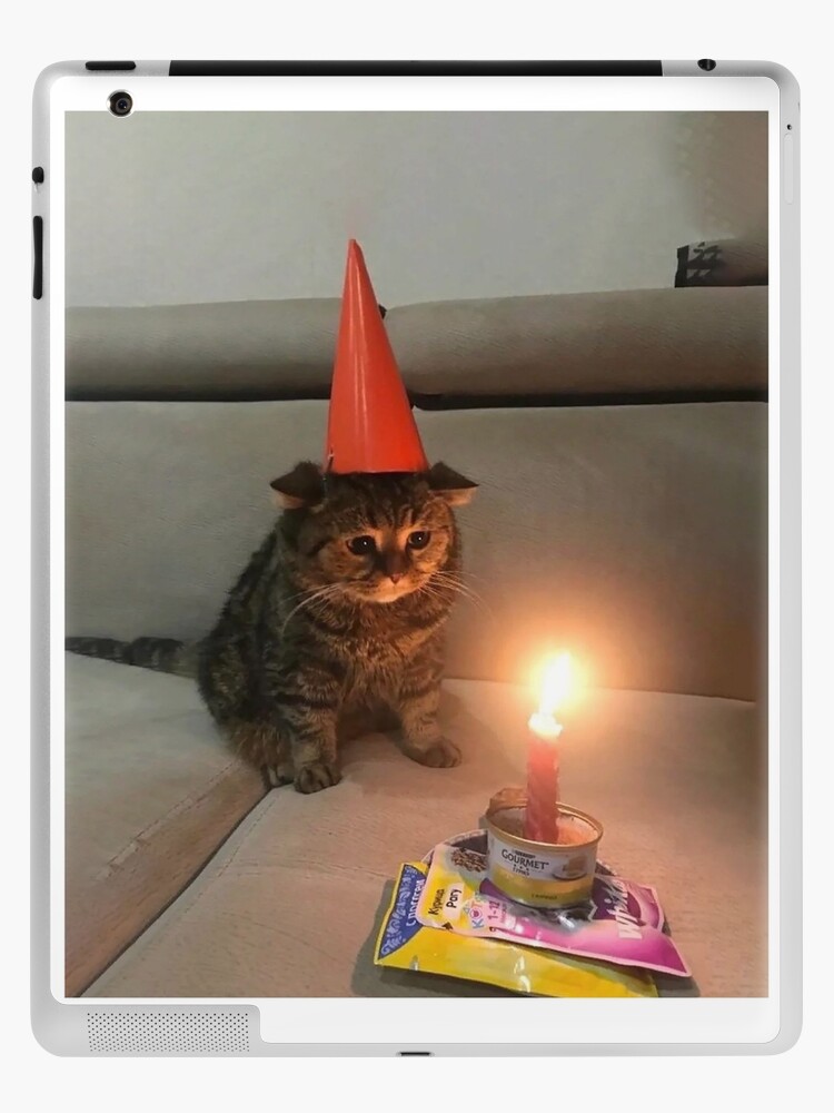 happy birthday meow meow | By Cute Cat Animals | Facebook