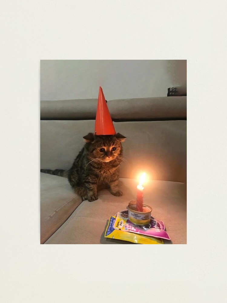 Lámina fotográfica «Triste Cumpleaños Gato Meme» de gketheredge | Redbubble