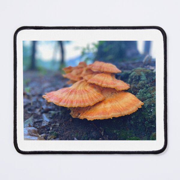 Item preview, Mushrooms in the front yard designed and sold by cariekelleher.