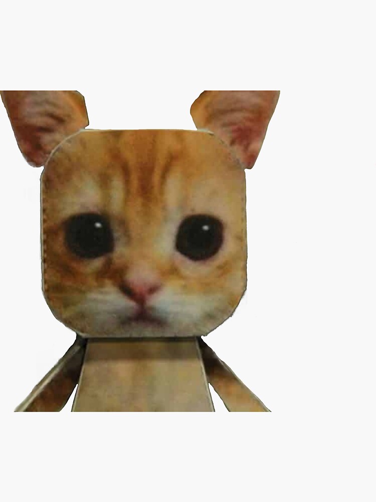 Cute Billi Ki Tik Tok El Gato Cute TikTok Cat