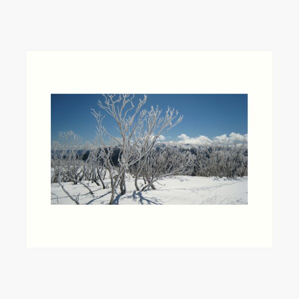 Item preview, Snow gums designed and sold by Kath Cashion.