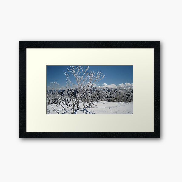 Item preview, Snow gums designed and sold by Kath Cashion.