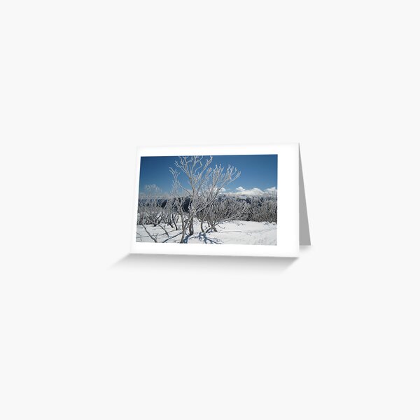 Item preview, Snow gums designed and sold by Kath Cashion.