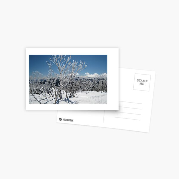 Item preview, Snow gums designed and sold by Kath Cashion.