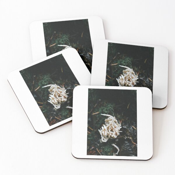 Item preview, Coral mushroom designed and sold by magicalmephoto.