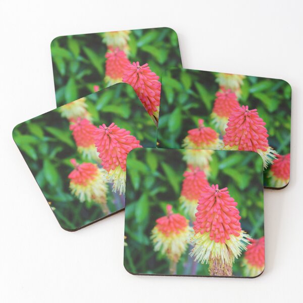 Item preview, Vibrant red hot pokers <3 designed and sold by KateJaxxon.