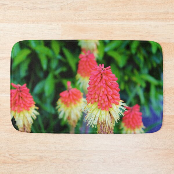 Item preview, Vibrant red hot pokers <3 designed and sold by KateJaxxon.