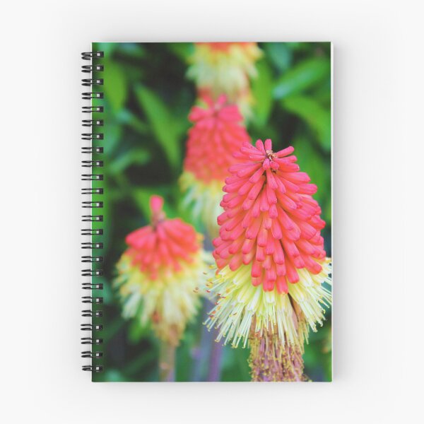 Item preview, Vibrant red hot pokers <3 designed and sold by KateJaxxon.