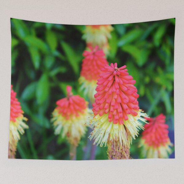 Item preview, Vibrant red hot pokers <3 designed and sold by KateJaxxon.