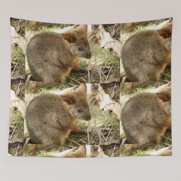 Item preview, BABY WALLABY designed and sold by kazaroodie.