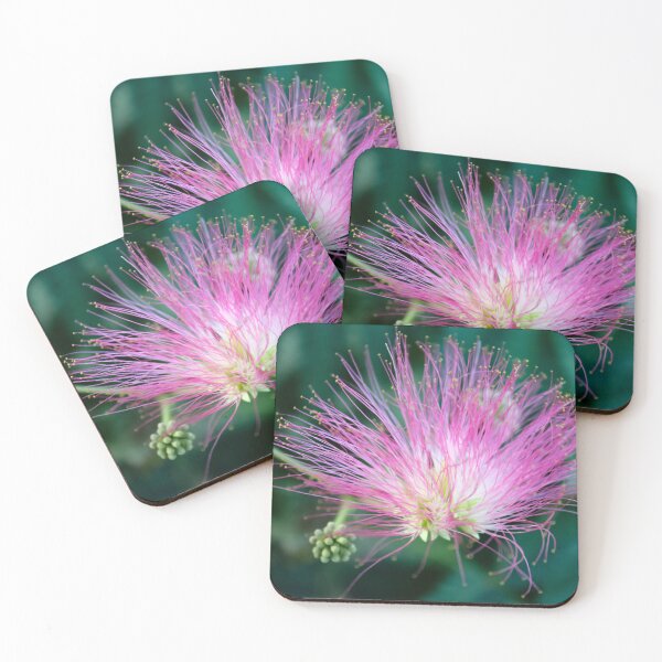 Item preview, Albizia julibrissin <3 designed and sold by KateJaxxon.