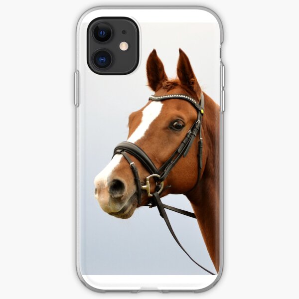 Curious horse iPhone Soft Case