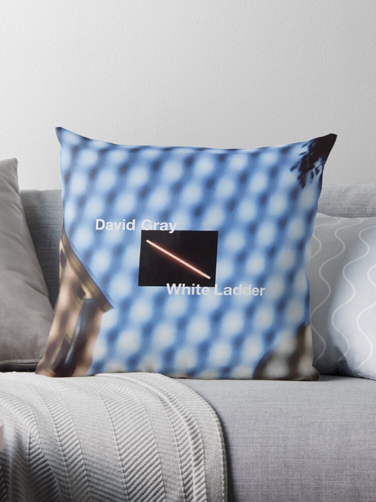 https://ih1.redbubble.net/image.3526849100.4654/throwpillow,large,750x1000-bg,f8f8f8.jpg