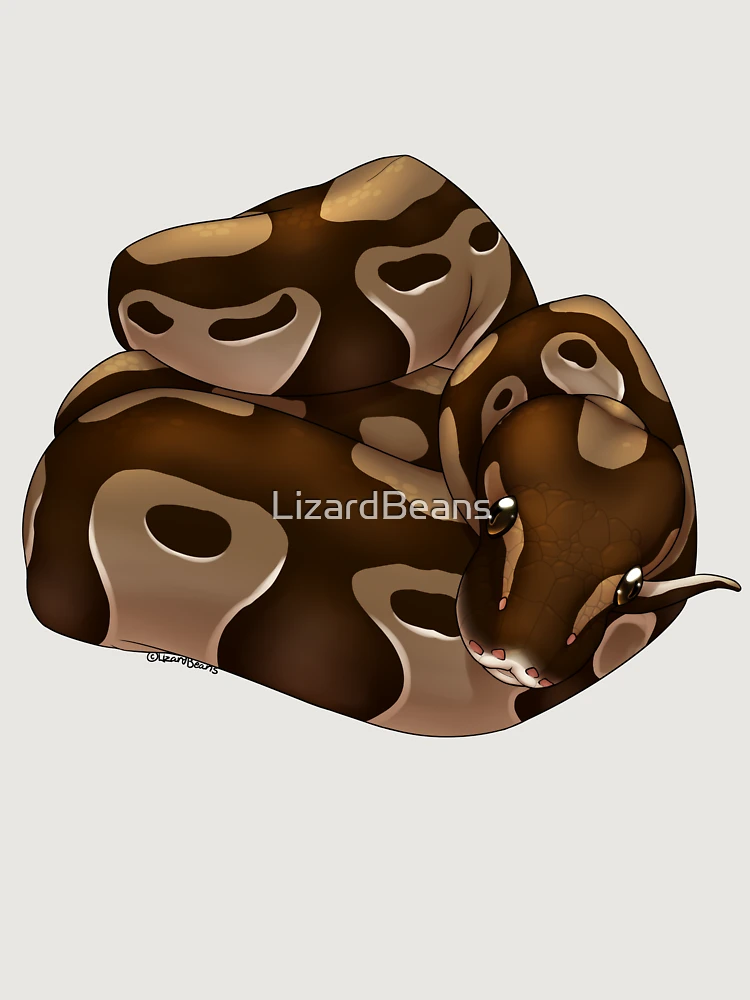 Thumbnail 6 of 6, Premium Oversized Sweatshirt, Normal Ball Python designed and sold by LizardBeans.
