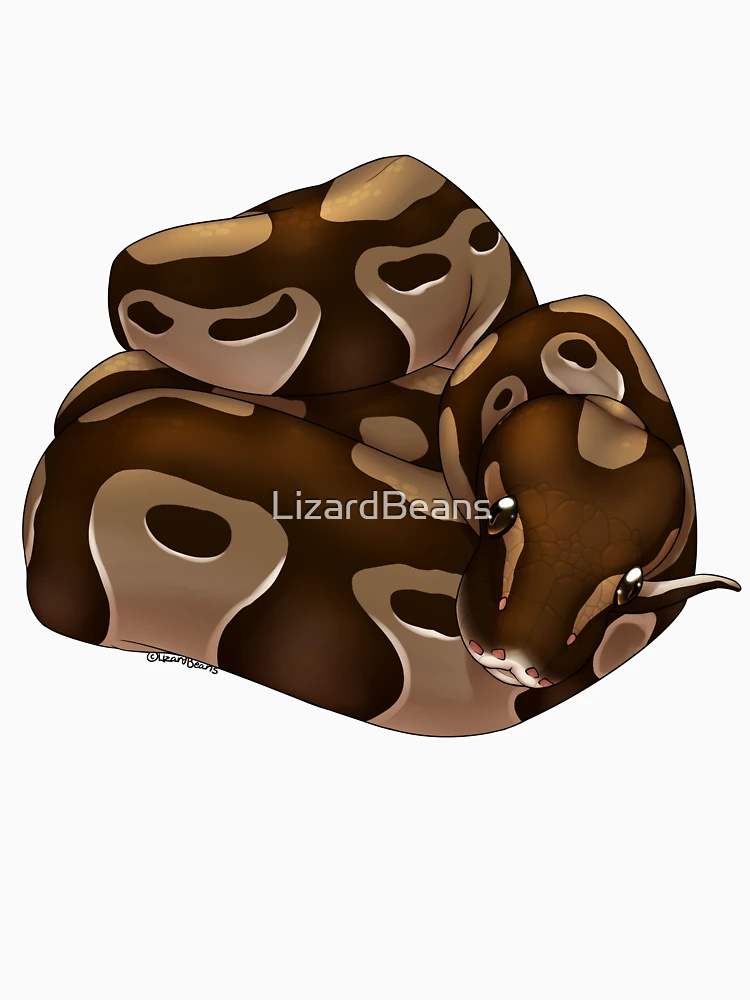 Thumbnail 6 of 6, Pullover Hoodie, Normal Ball Python designed and sold by LizardBeans.