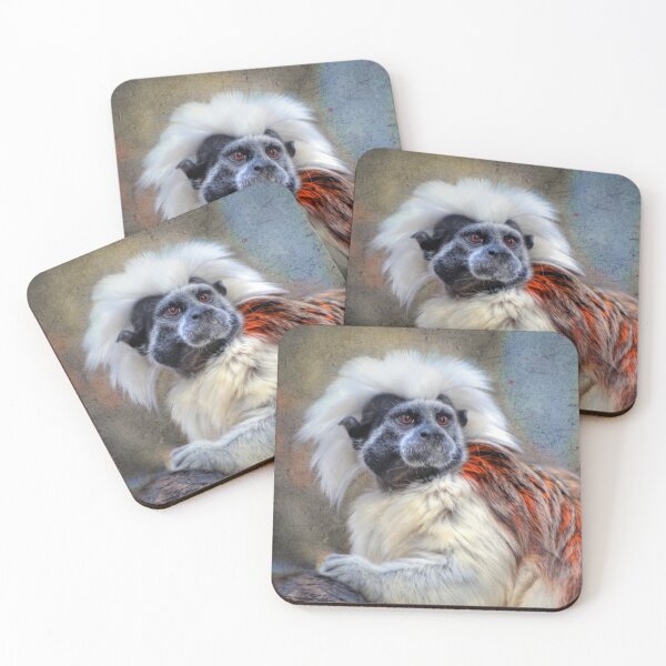 Item preview,  Cotton Top Tamarin designed and sold by Savannah Gibbs.
