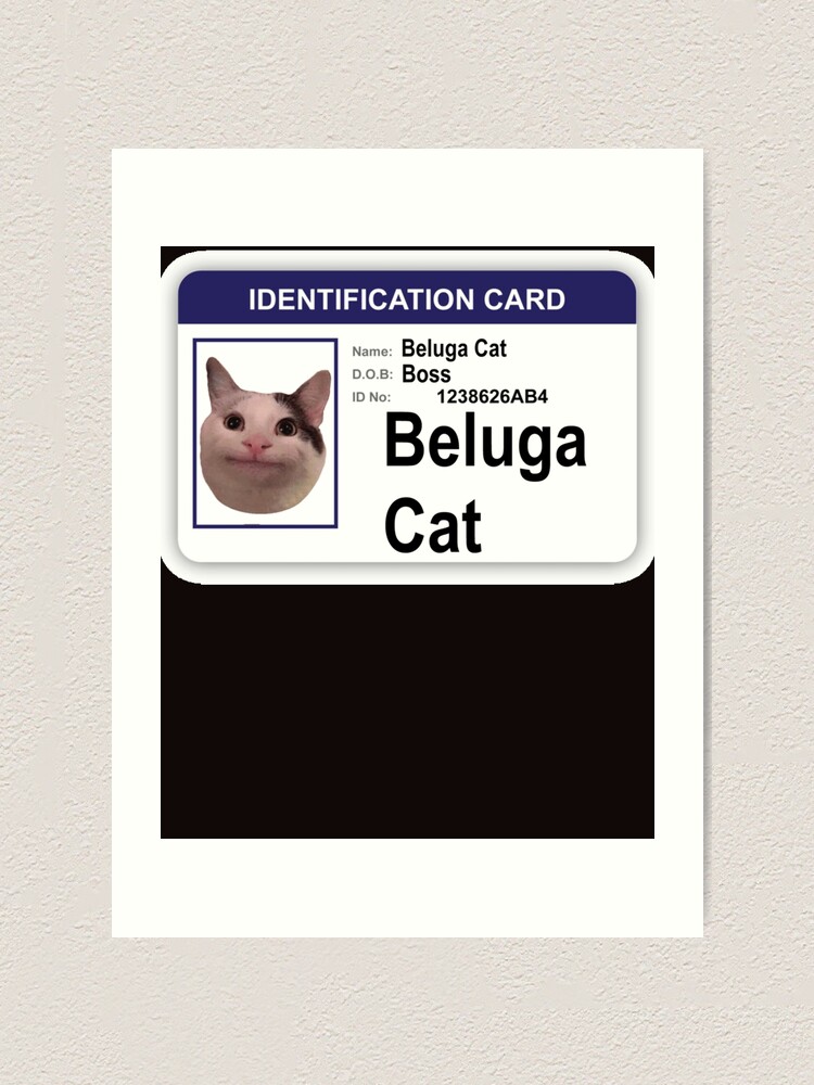 Buy Beluga Cat Identification Card Shirt For Free Shipping CUSTOM