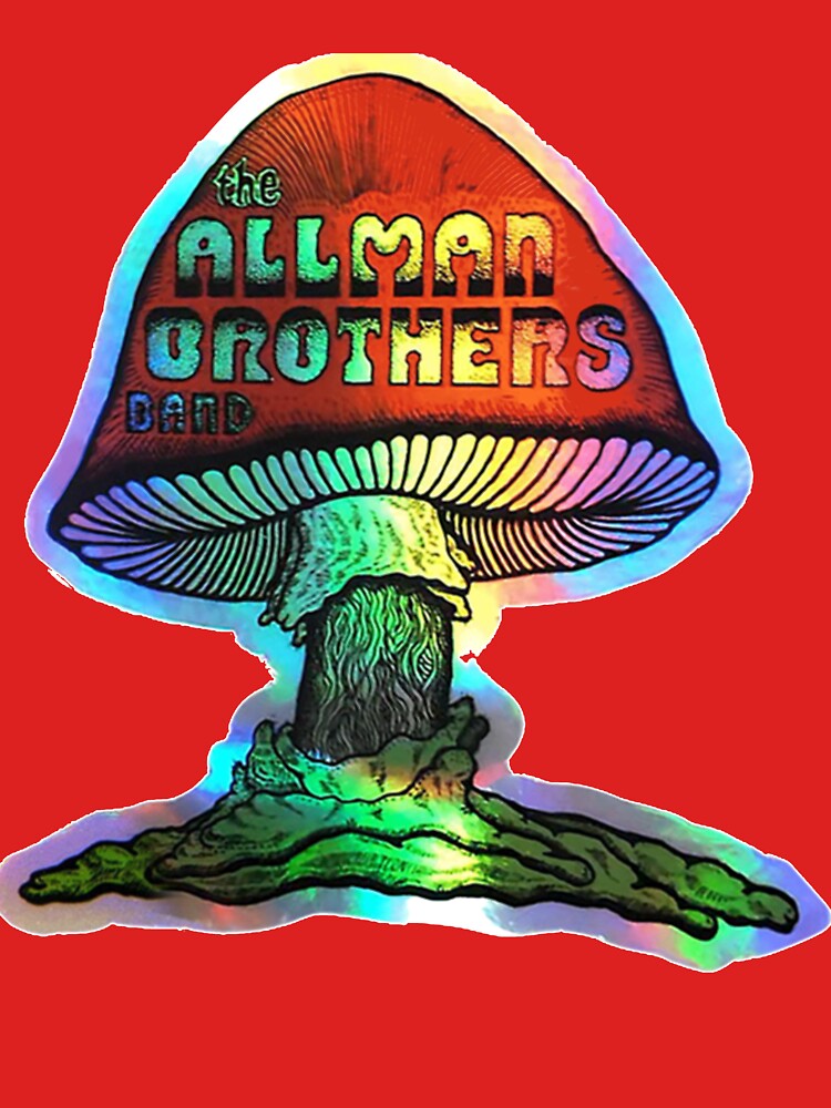 The Brothers Allman Band Form Pilz Classic T-Shirt