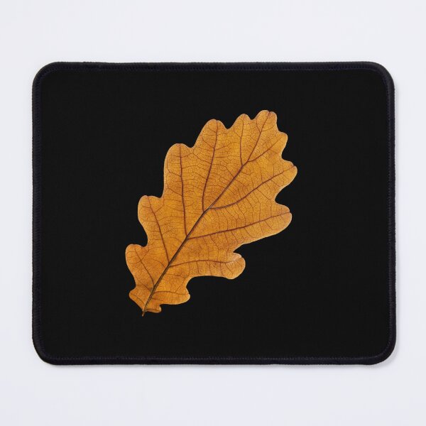 Item preview, Autumn oak leaf designed and sold by vitelaibki.