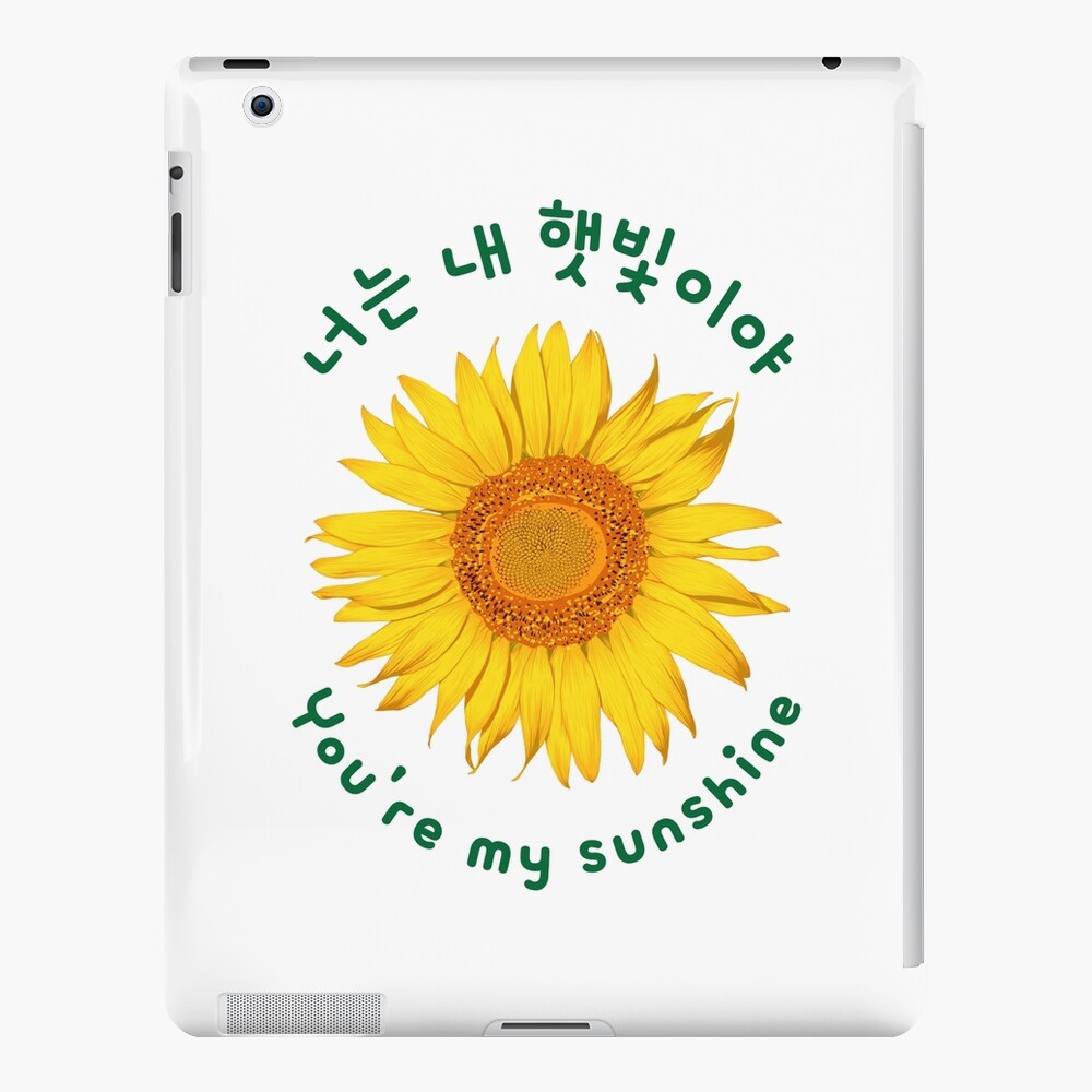 you-are-my-sunshine-in-korean-korean-phrases-ipad-case