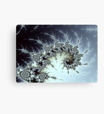Ice Fractal Canvas Print
