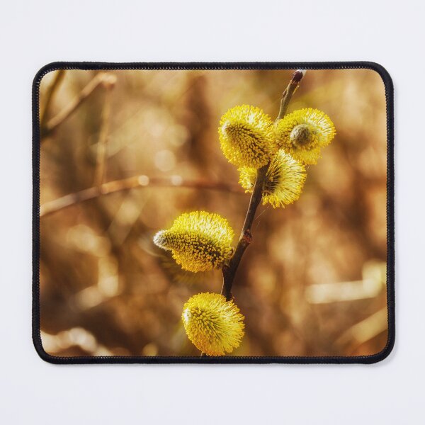 Item preview, Spring fireworks designed and sold by Veikko  Suikkanen.