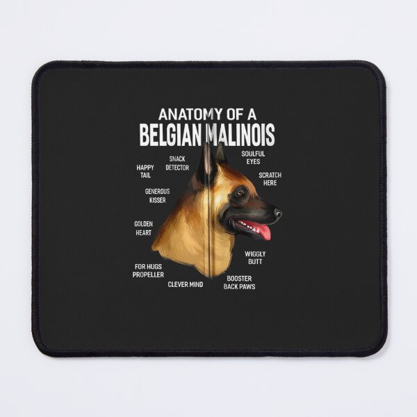 Item preview, Dogs 365 Anatomy of a Belgian Malinois Dog Funny Gift Zip Hoodie designed and sold by augetjalegrei.