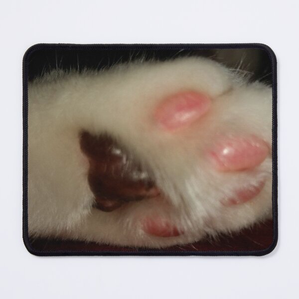 Item preview, Fur Baby Toe Beans Cat Paw Photograph designed and sold by AliCatOriginals.