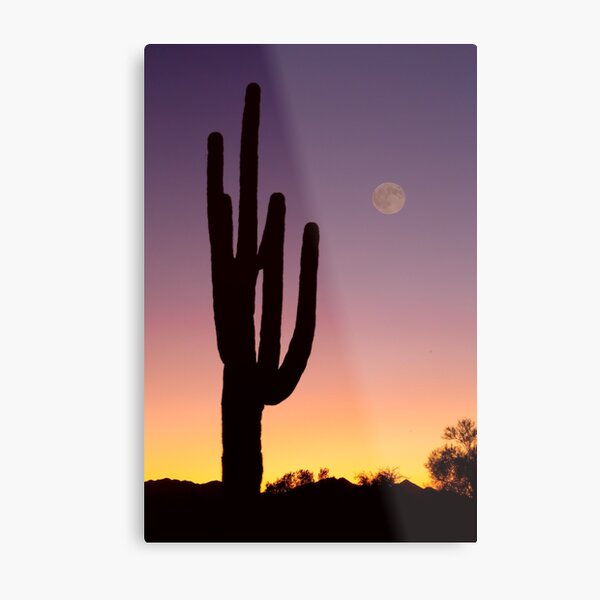 Early Morning Southwest Desert Moon Glow Metal Print