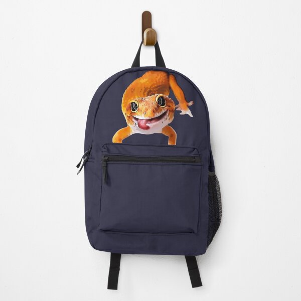 Flareon backpack 2025