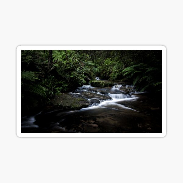 Item preview, Leura Cascades - Blue Mountains, Australia. designed and sold by Lightwave Art Photography.