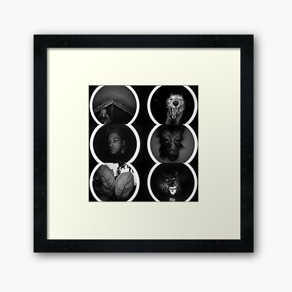 Item preview, Reptile House Collage designed and sold by ReptileHouse.